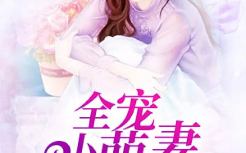 白小萌权玖笙(全宠小萌妻)全章节在线阅读_(白小萌权玖笙)全本阅读
