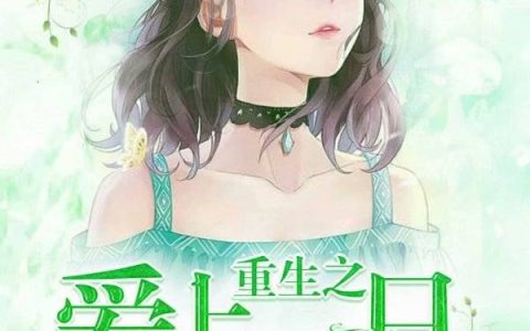 何冲沐柳叶《医妃撩人：开局就生了个娃》完整版阅读_何冲沐柳叶全文阅读