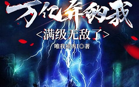 叶枫唯我独秀I《渡劫万亿年的我，满级无敌了》_(渡劫万亿年的我，满级无敌了)最新章节阅读