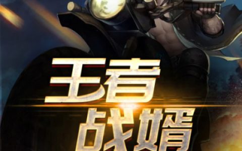 凌天陈曦(王者战婿)全章节在线阅读_(凌天陈曦)全本阅读