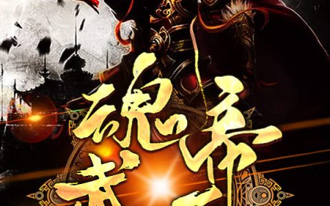 陈封李亨《魂帝武尊》全文阅读_陈封李亨全章节在线阅读