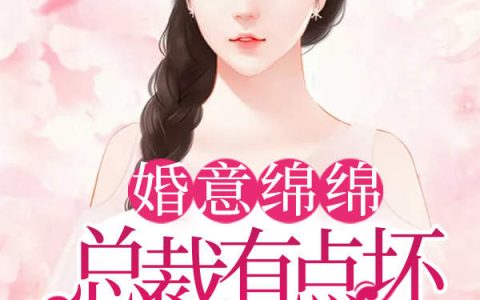 安妮小慧《婚意绵绵：总裁有点坏》完整版阅读_安妮小慧全文阅读