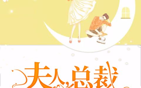 (夫人，总裁闹着要二胎)陆重渊林晚晚完结版免费阅读_(夫人，总裁闹着要二胎)全章节在线阅读