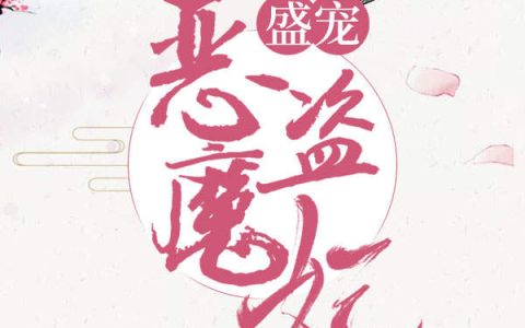 盛宠恶魔盗妃(慕凌风上官九)完结版阅读_(慕凌风上官九)最新章节在线阅读