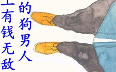 《杠上有钱无敌帅的狗男人》夏唯茜宫沐廷_杠上有钱无敌帅的狗男人完结版免费阅读