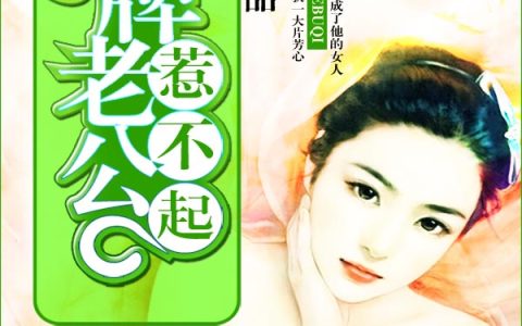 秦婉怡秦泰《正牌老公惹不起》_(正牌老公惹不起)最新章节阅读
