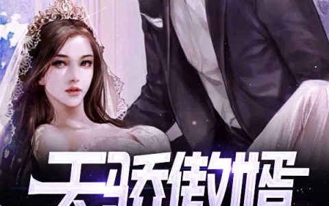 夏尘蒋丽红(天骄傲婿)_(夏尘蒋丽红)全文免费阅读