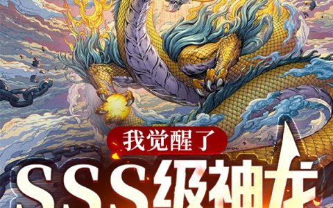 (我觉醒了SSS级神龙，守护华夏)林潇心情不爽就加更全文阅读_我觉醒了SSS级神龙，守护华夏最新热门小说