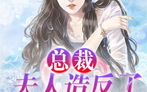 (总裁，夫人造反了)黄毛景延_黄毛景延完结版免费在线阅读