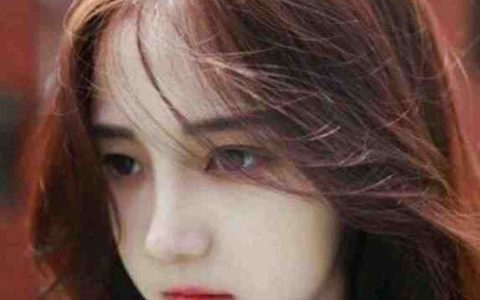 (老婆能原谅我了吗)蔚禾时煜完整版阅读_老婆能原谅我了吗完整版阅读