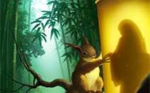 《穿越四合院开局娶了娄晓娥》贾张氏林国林_穿越四合院开局娶了娄晓娥完整版免费在线阅读
