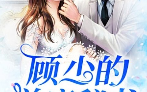顾少的首席秘书(陈曦顾斯铭)全章节在线阅读_(陈曦顾斯铭)完整版免费阅读