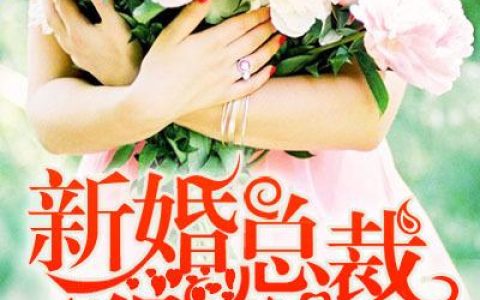 廖雨辰温钰(新婚总裁狠神秘)_新婚总裁狠神秘全章节免费在线阅读