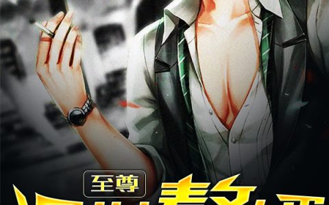 (龙振宇罗婉秋)至尊混世赘婿全章节免费在线阅读_至尊混世赘婿全本免费在线阅读