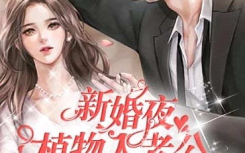 (新婚夜，植物人老公突然醒来亲我了)鹿羽恩傅廷川_鹿羽恩傅廷川全本阅读