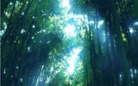 她和他谈了三年恋爱(乔慕司智渊)完结版在线阅读_(她和他谈了三年恋爱)全集免费在线阅读