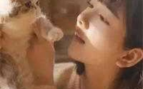 我们这个小镇(芭比柳柳)全本阅读_《我们这个小镇》完整版免费在线阅读
