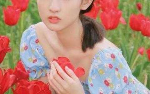 (季屿川许枝知)比我做一顿饭的报酬还高完结版免费在线阅读_(季屿川许枝知)全文阅读