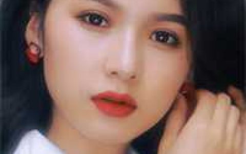 沐新月夏沉舟《我有八个未婚妻》热门小说_我有八个未婚妻全文免费阅读