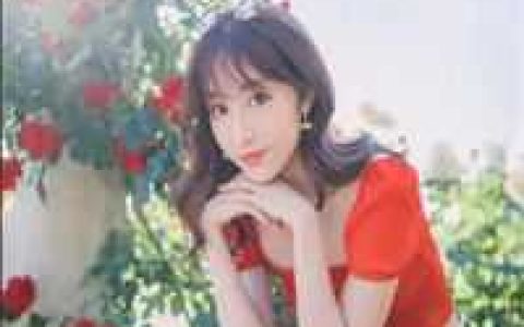 沐新月夏沉舟《盖世人王》最新章节阅读_《盖世人王》最新热门小说