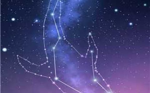 宋萱韩美美《一股强烈的心悸感》完结版在线阅读_一股强烈的心悸感全本阅读