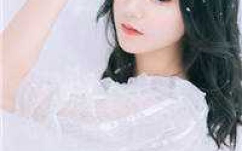 叶笑天夏倾雪(我的冰山女神老婆)全章节免费阅读_叶笑天夏倾雪全文阅读