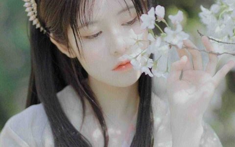 悲尘歌(丁三绺边阮阮)完结版免费阅读_《悲尘歌》完结版免费在线阅读