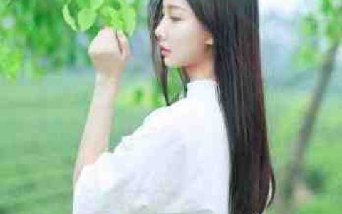 仓启暖风晚(变甲)完整版免费在线阅读_(仓启暖风晚)全本在线阅读